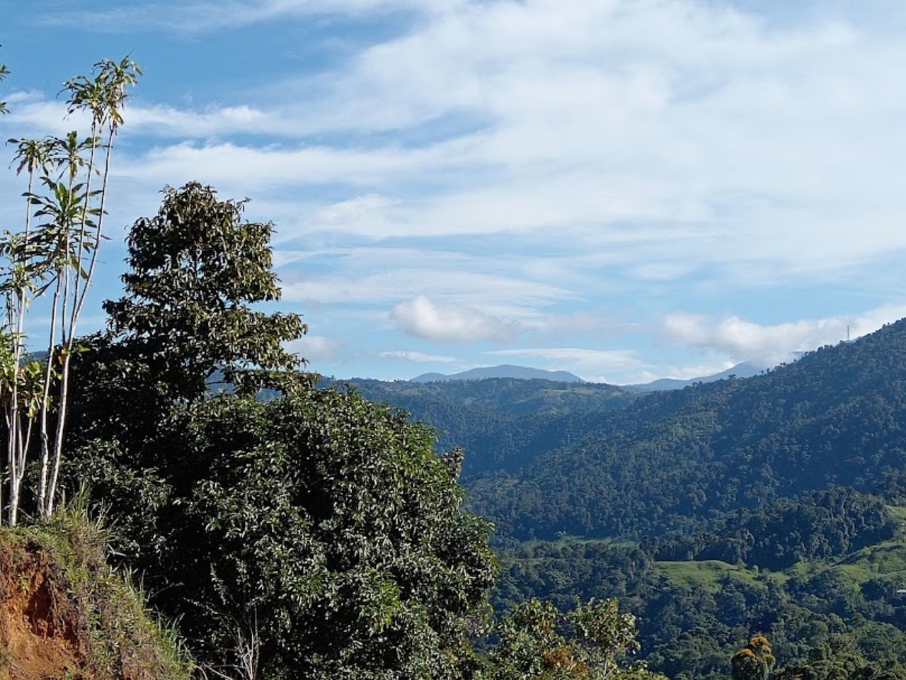 Ocean View Spring Acreage, Perez Zeledon, San Jose