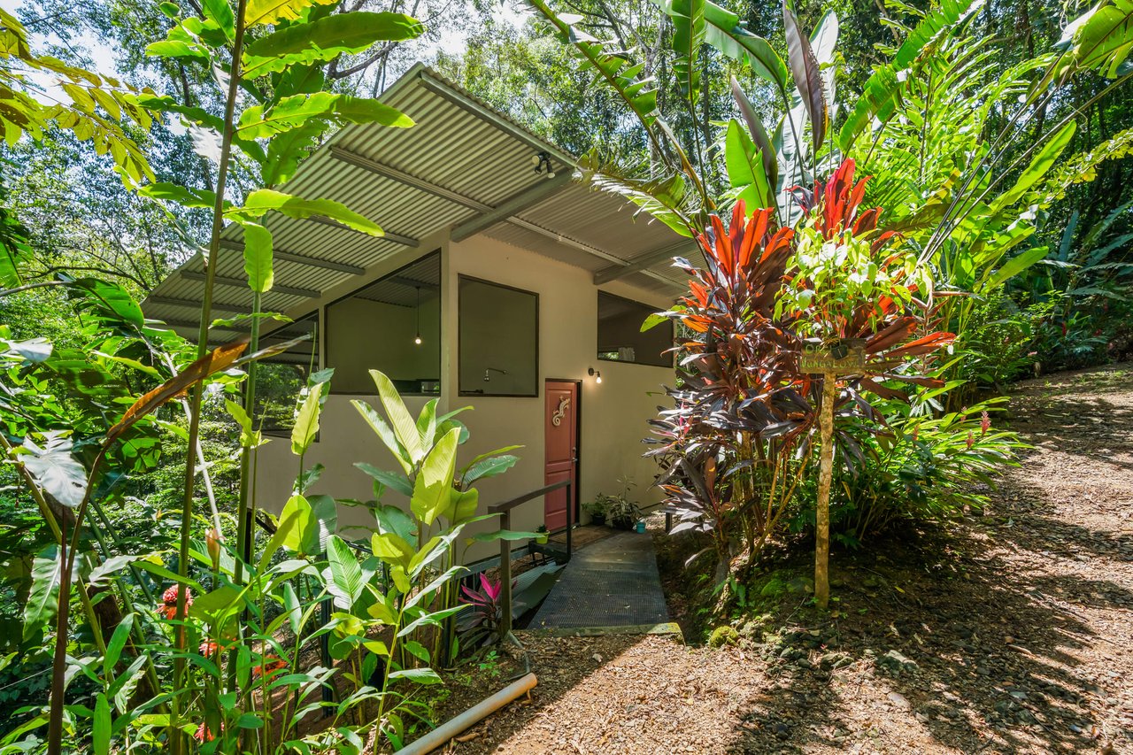 Tropical Villas on 11 Acres of Jungle. Great Location for a Retreat!