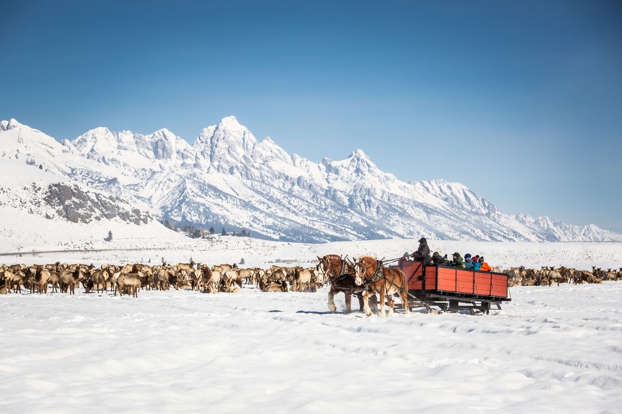 February To Do's in Jackson Hole