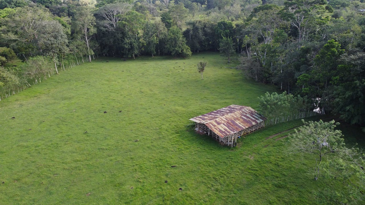 Rancho San Miguel | Enchanting Paradise; Your Ultimate Investment Opportunity in Buenavista de Guatuso, Katira!