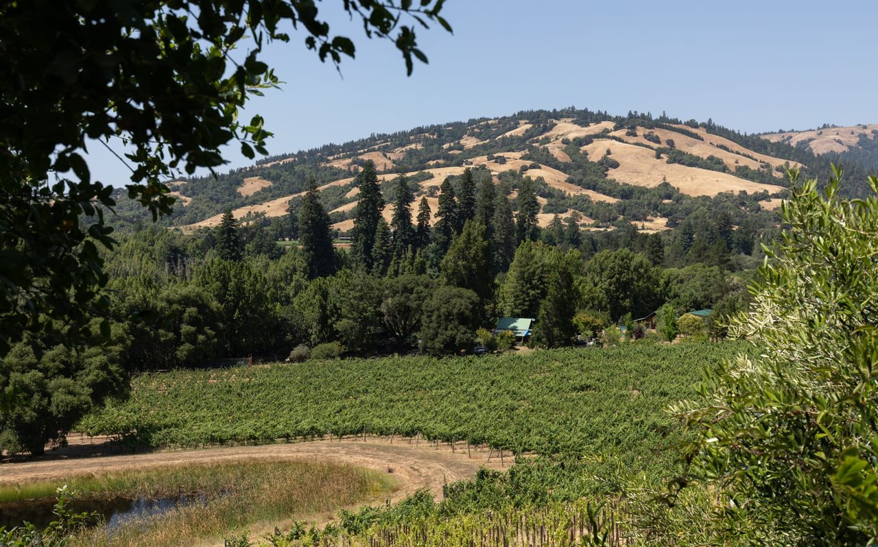 Balo Winery and Estate