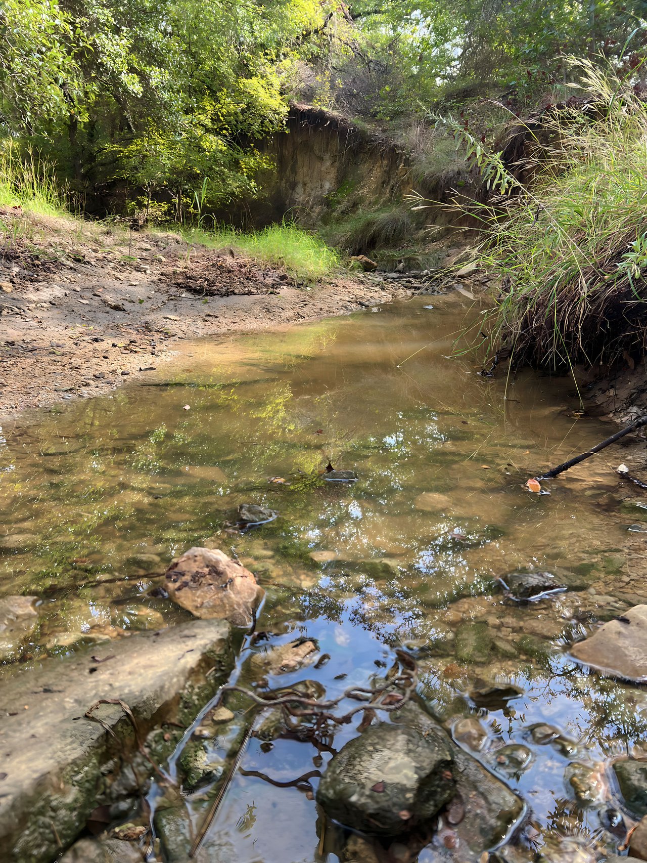 May Creek Ranchette | 10 +/- ACRES | Brown County, Texas