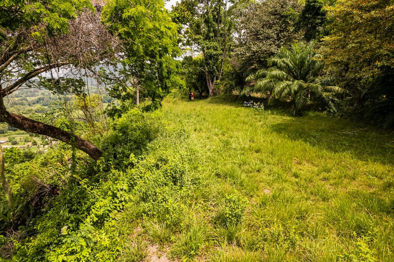 Stunning ocean views & great investment