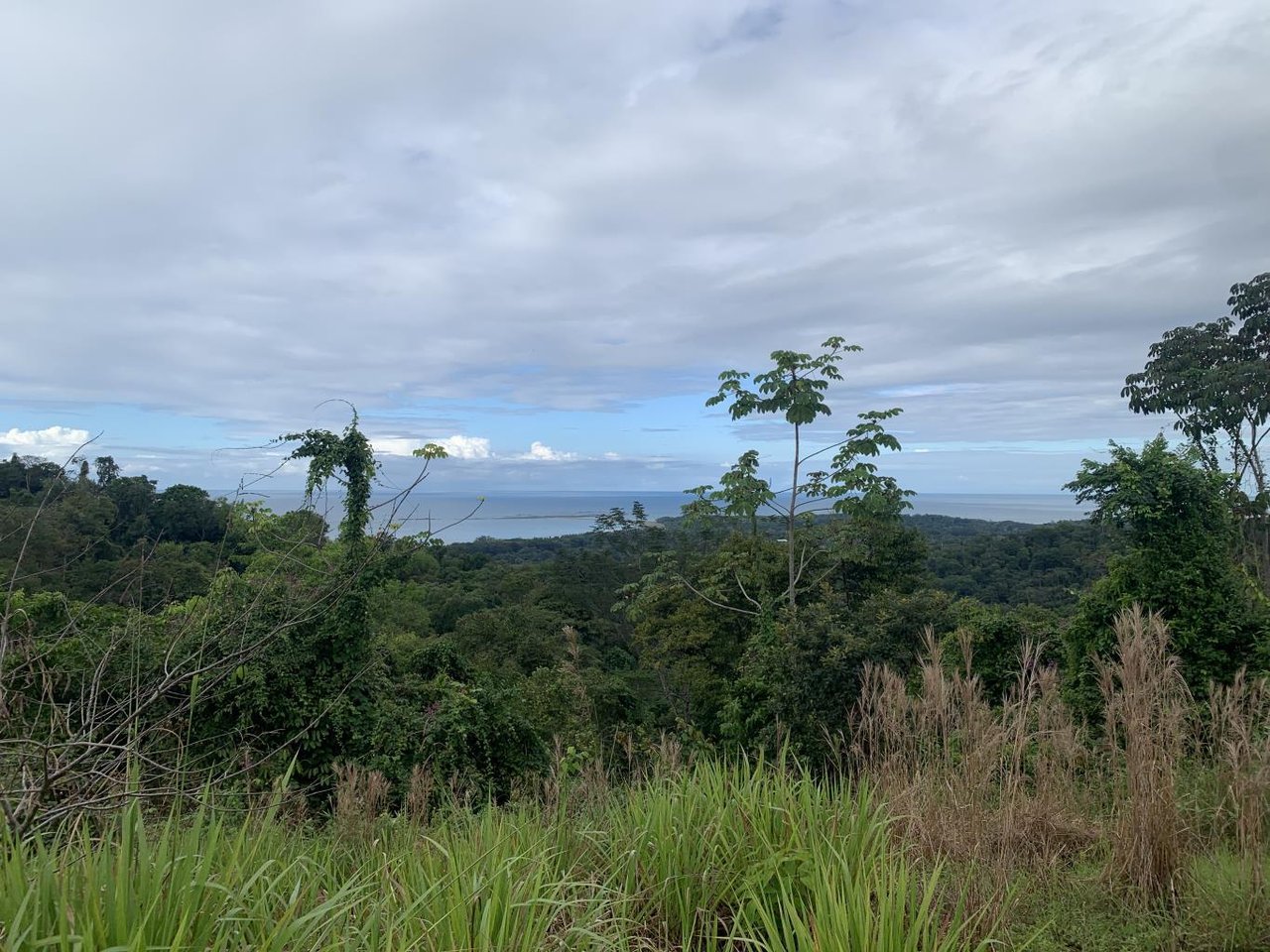 Prime Ocean and Whale tail View Development Land In Uvita