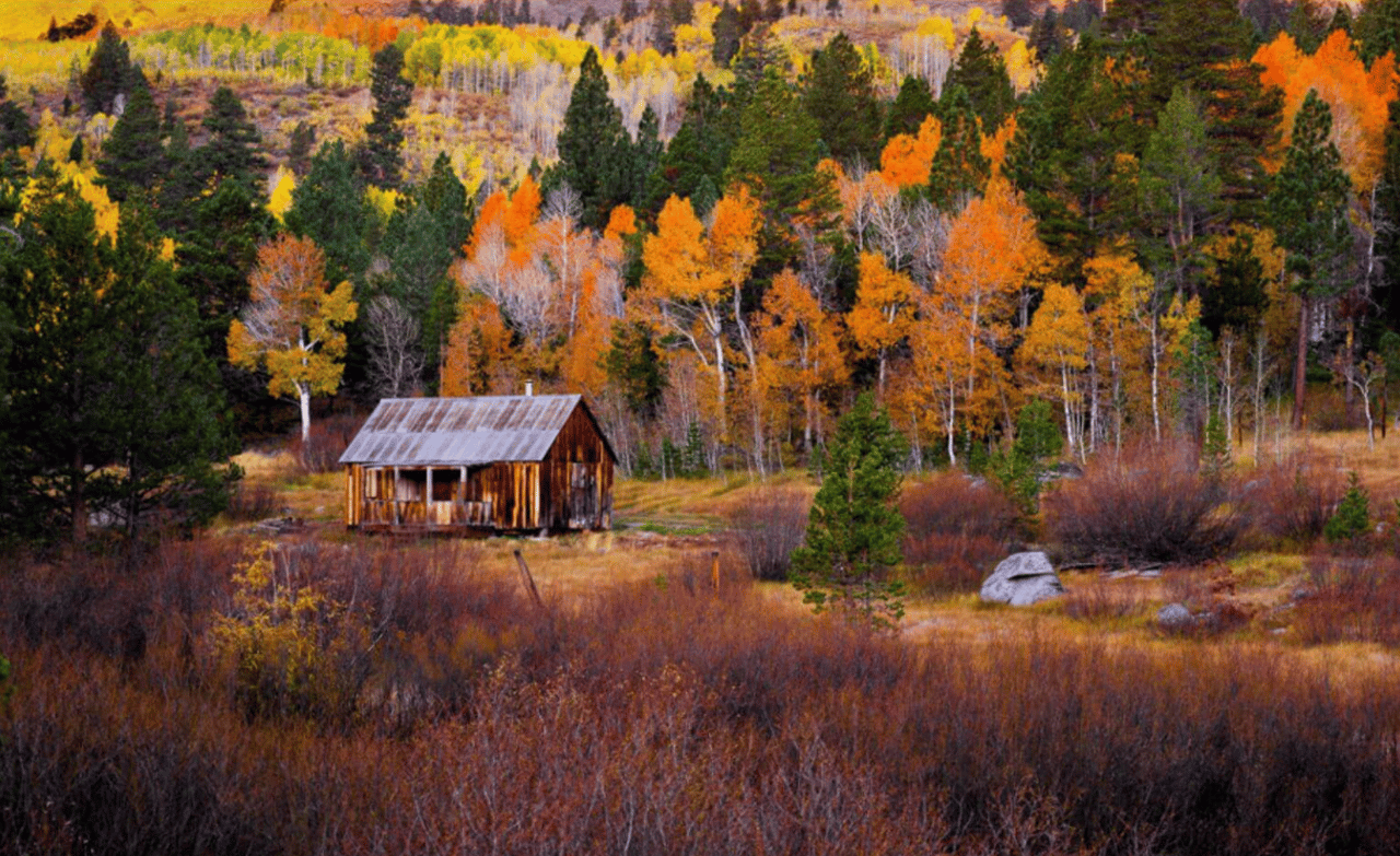 The Best Places to See Fall Foliage in Reno-Tahoe