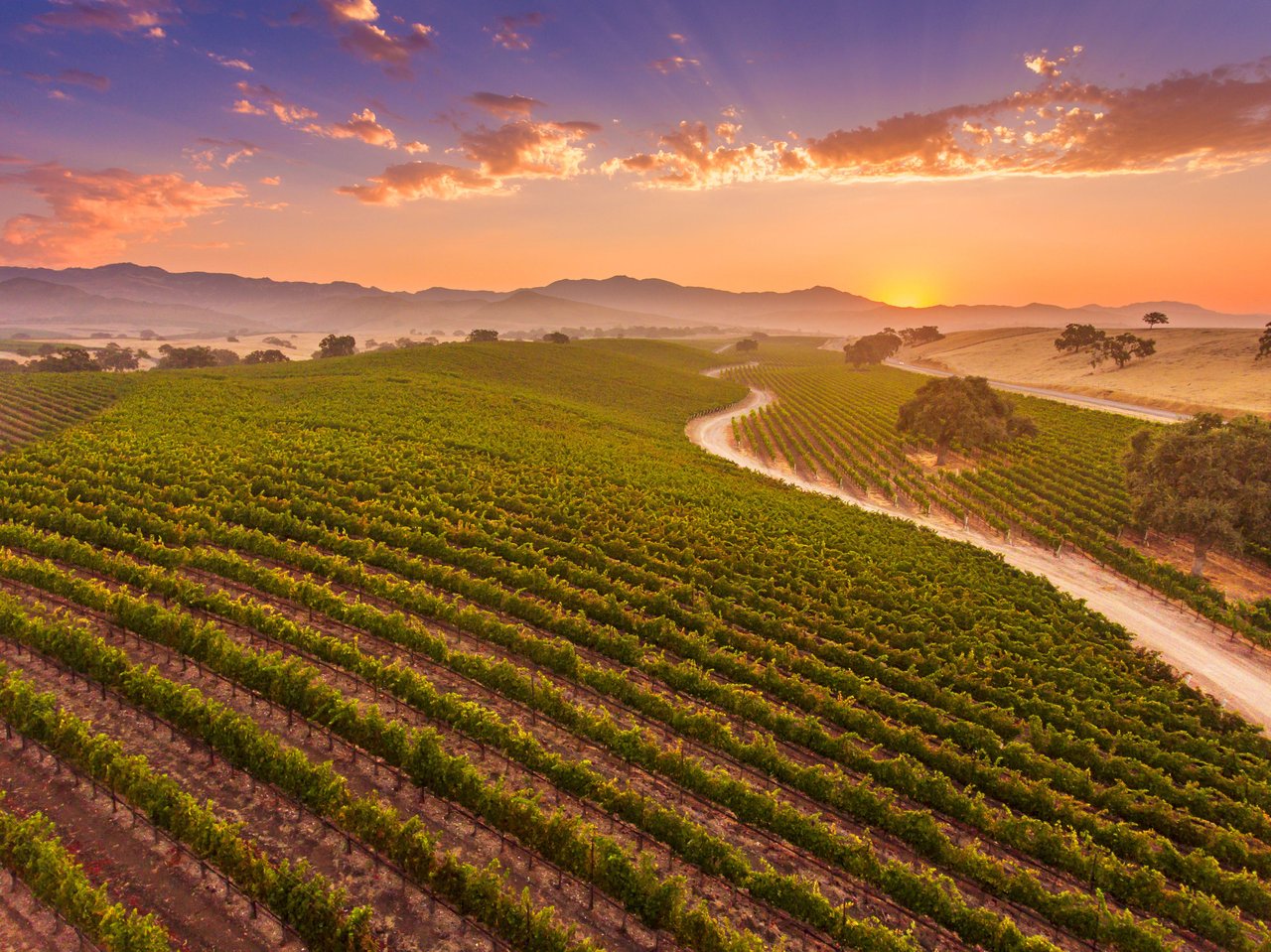 Santa Ynez Valley