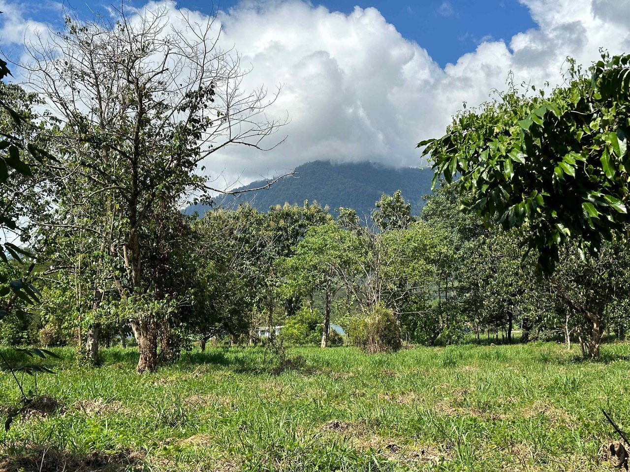 Over 3 Acres, Mountain View Lot in the Heart of Ojochal, Ready for Development!.