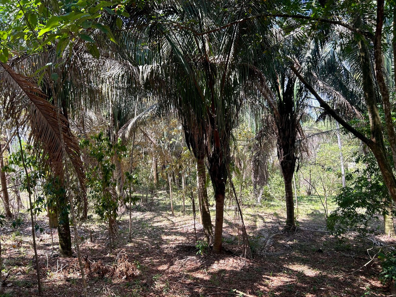 Great Location Land Parcel in Playa Hermosa