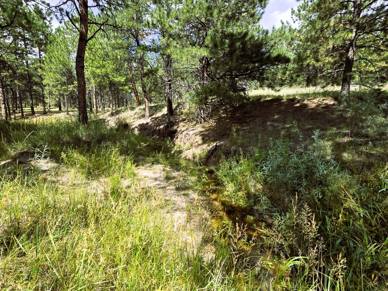 00 Meridian Road