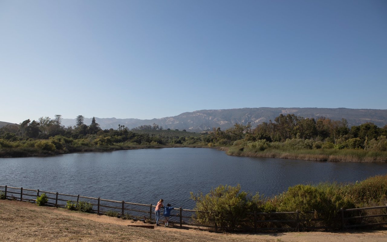 Goleta