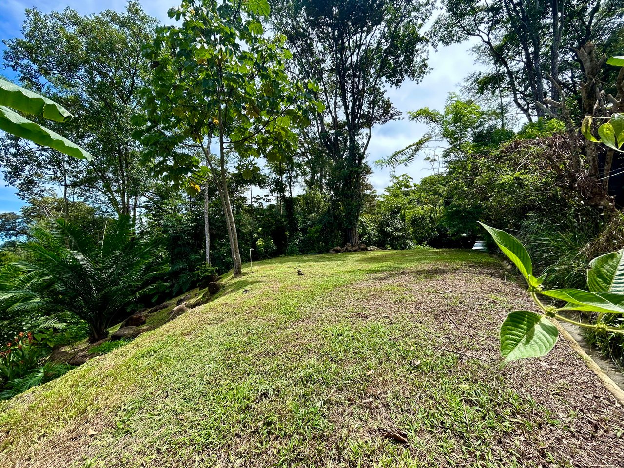 Secret Paradise Property in Altos de la Colonia