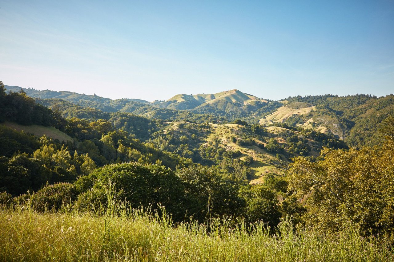 Sharon's Real Estate News Aug 9th