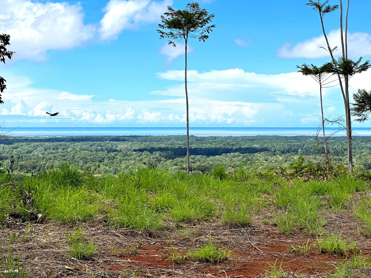 2 Acres Property with 360 Panoramic Views!