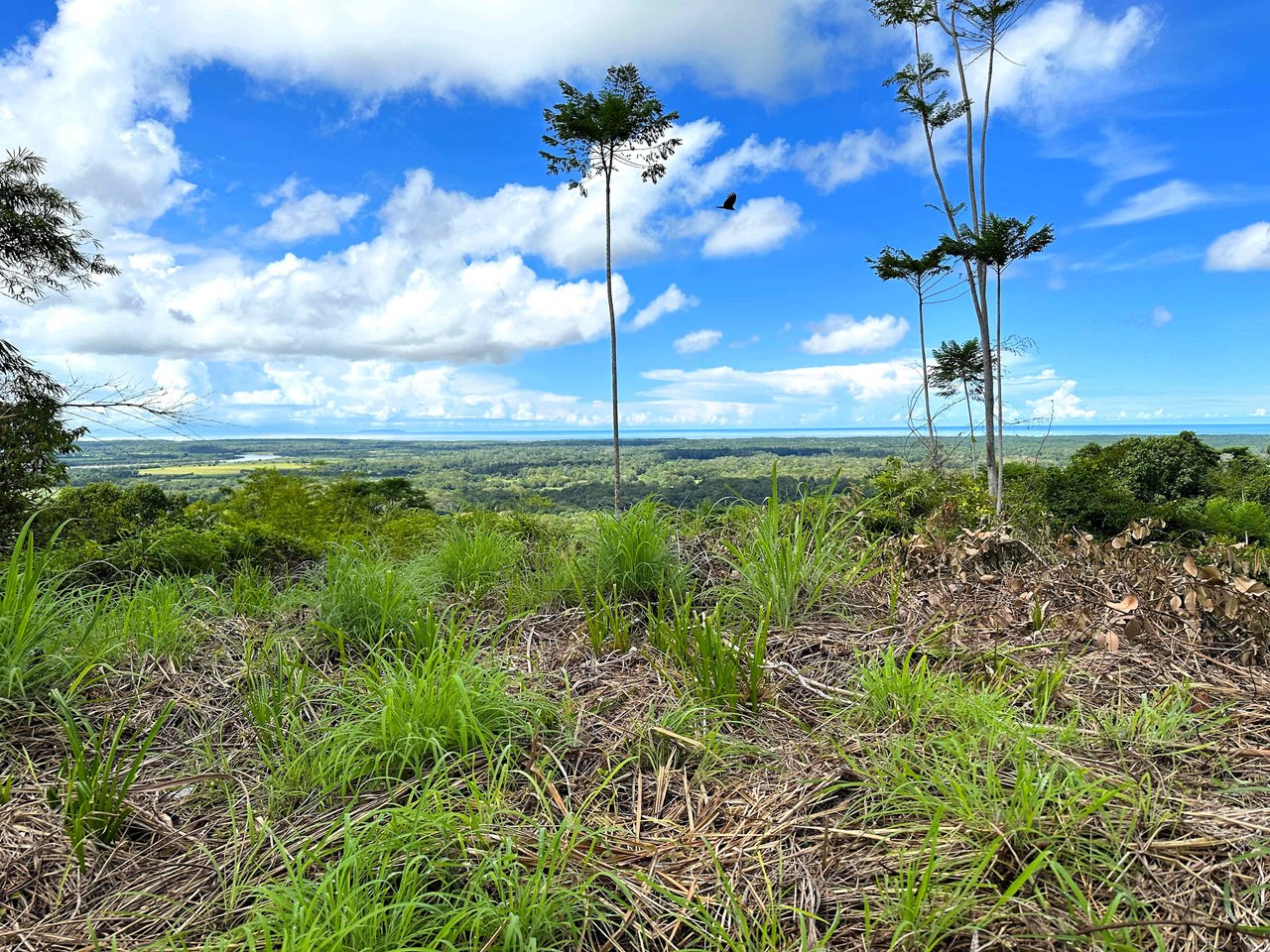 2 Acres Property with 360 Panoramic Views!