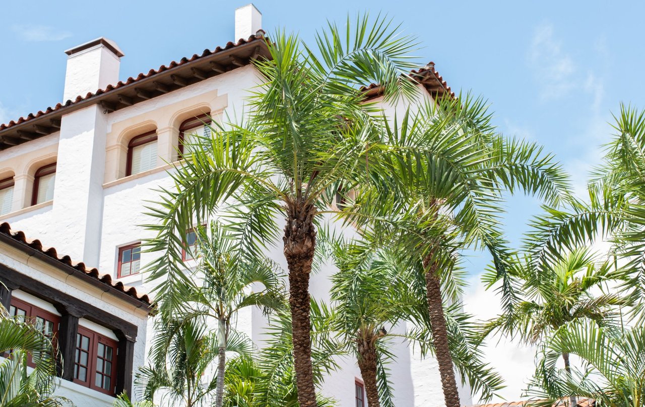 What We Can Do for You