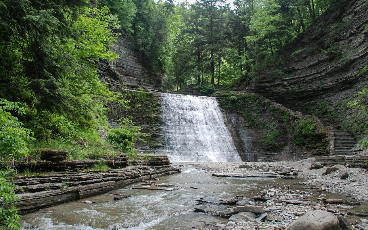 Stony Brook