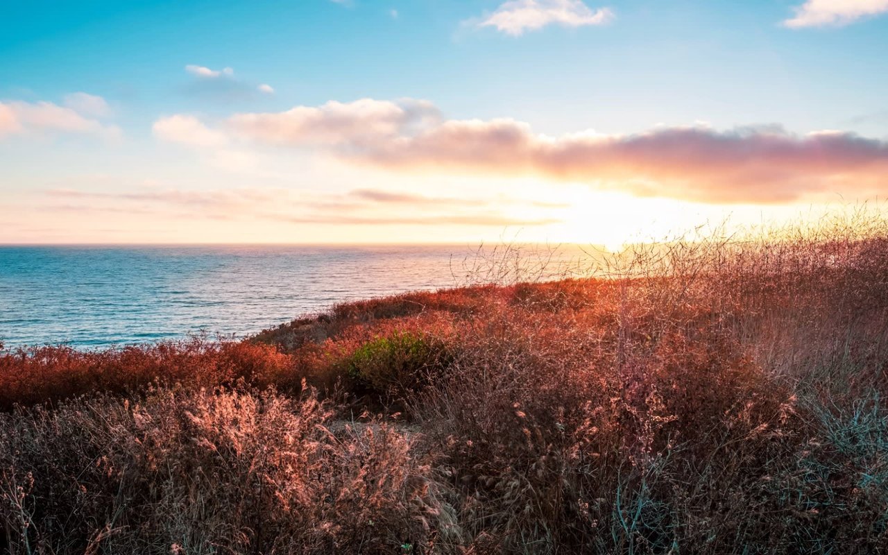 Living in Newport Beach, CA