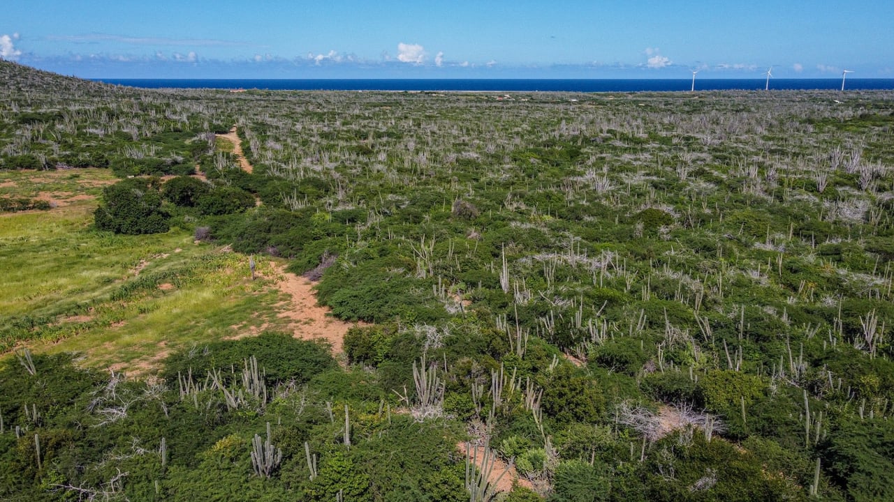 Property land Bonaire