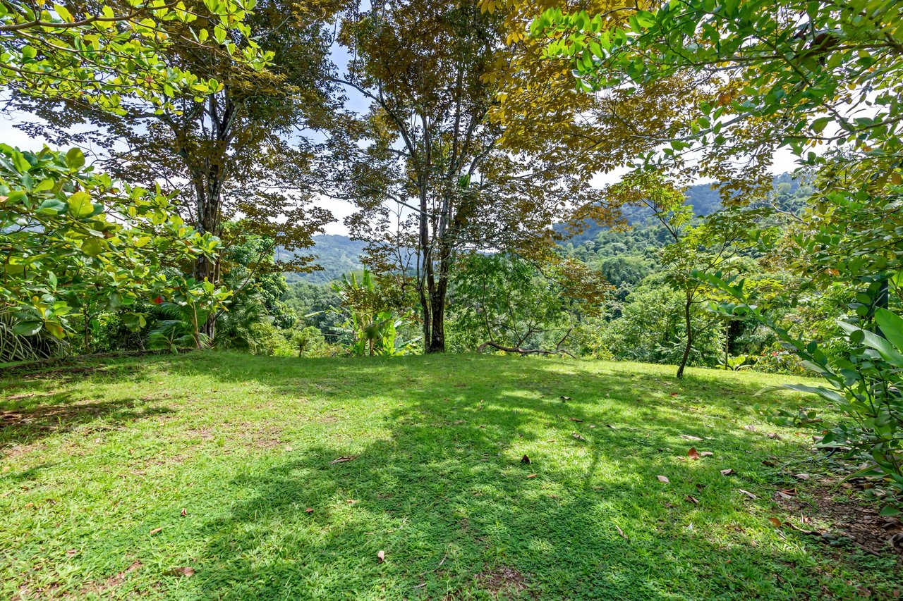 Casa Loro Verde,  Rainforest Jungle Retreat Home on 5.24 Acres in Portalon!