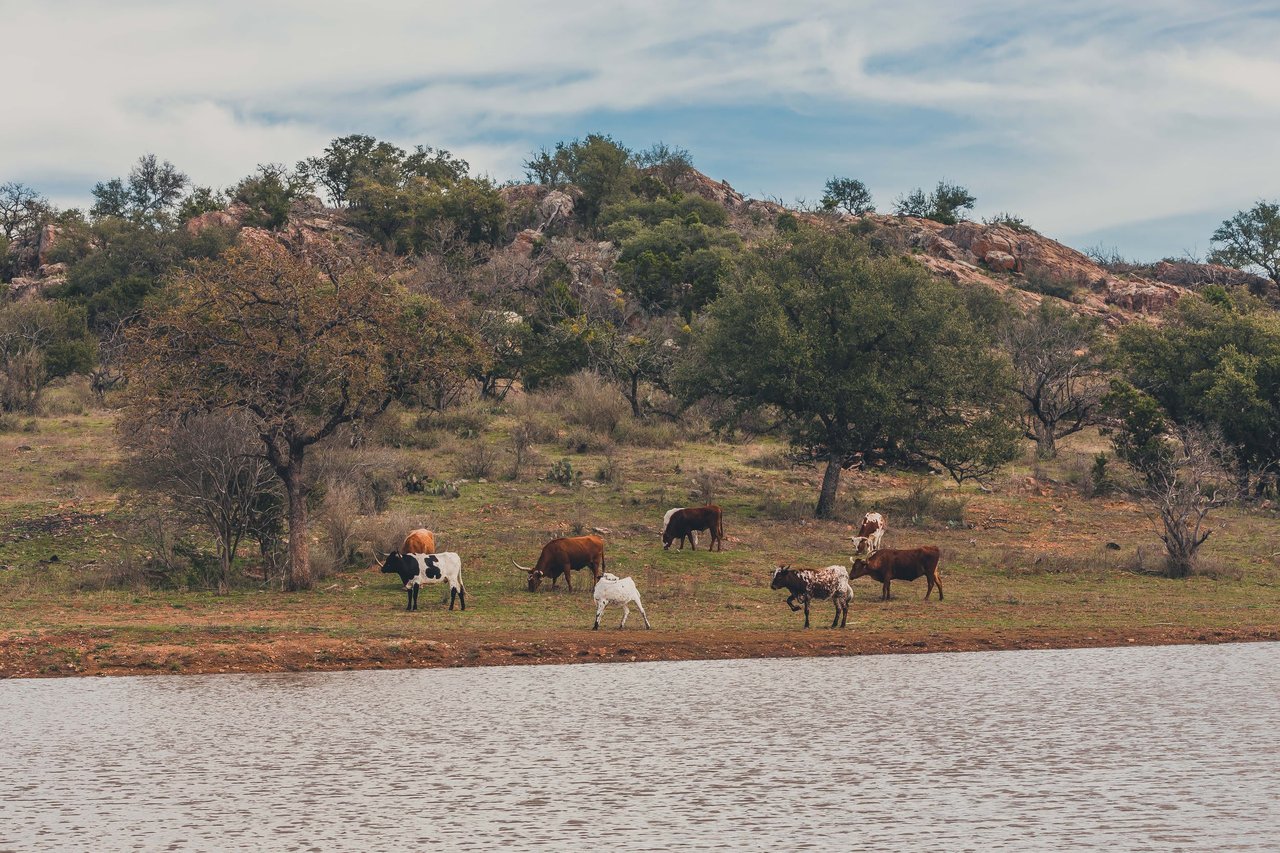 Cuatro Colinas Ranch