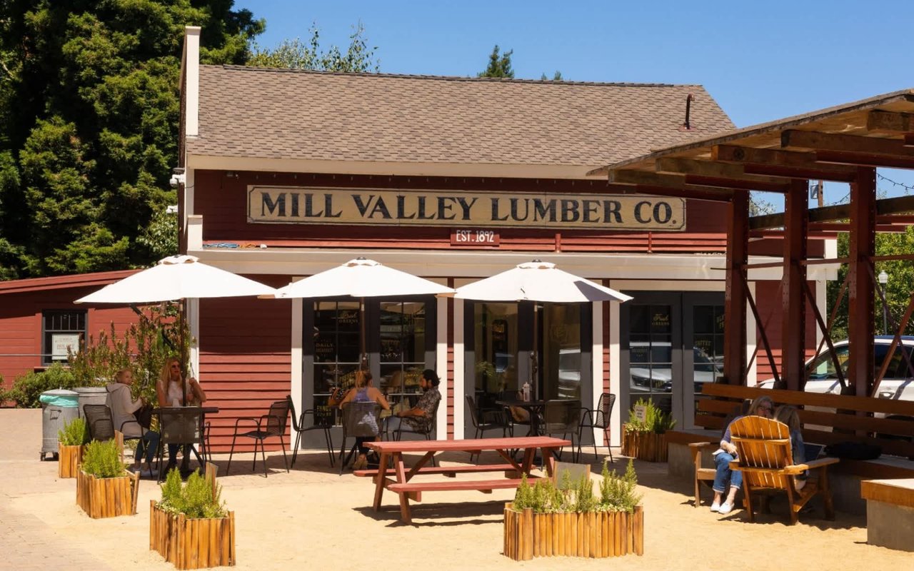 The Top Attractions in Mill Valley for Locals or Tourists