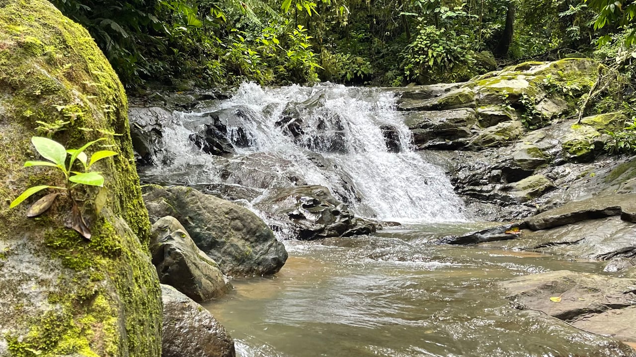 Over 123 Acres Farm in San Josecito De Morete, in Uvita Mountains