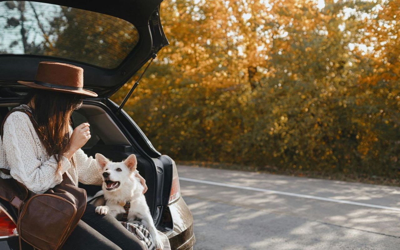 5 Things to Do When Moving to a New State
