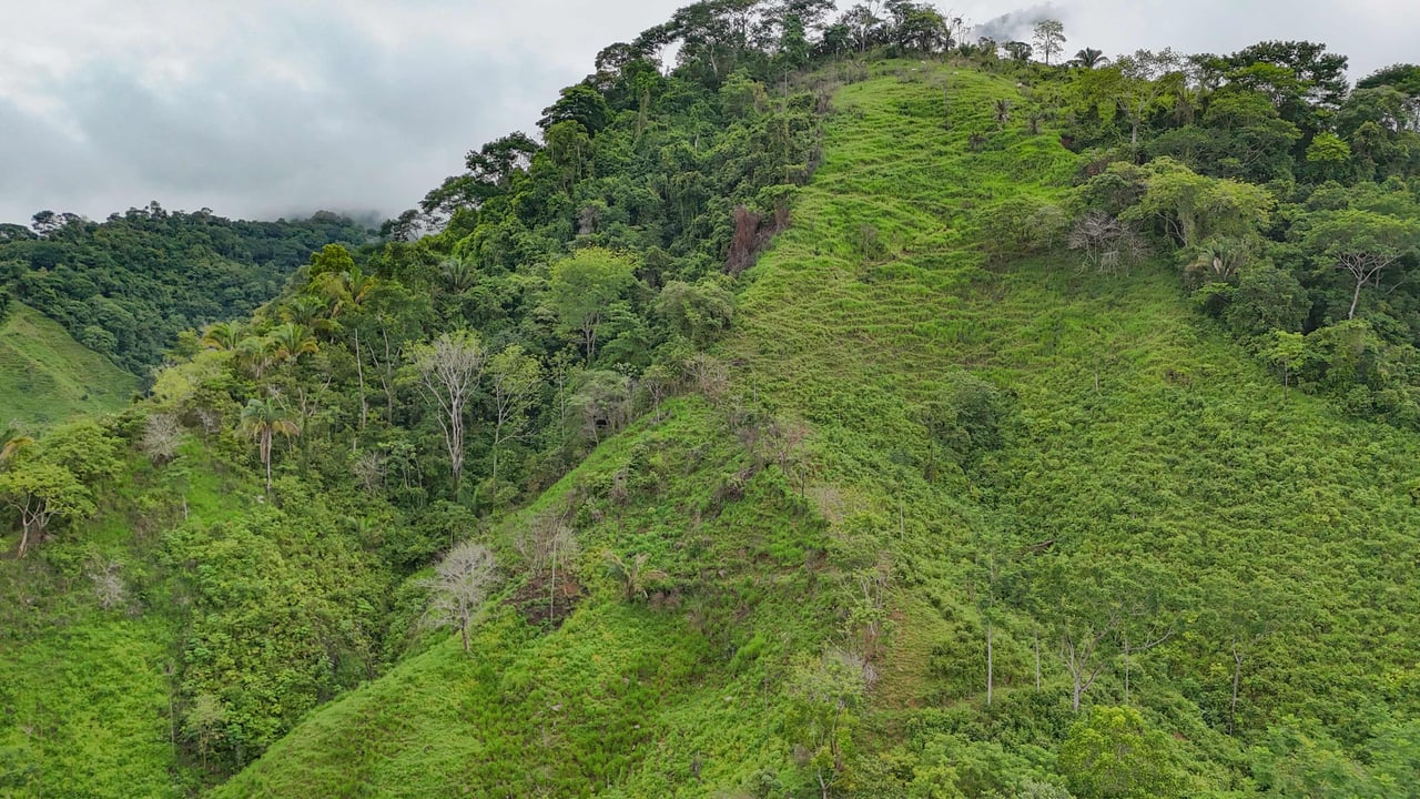 177 acre Ocean view property with multiple plantels, unspoiled mountain, jungle, river and waterfall areas