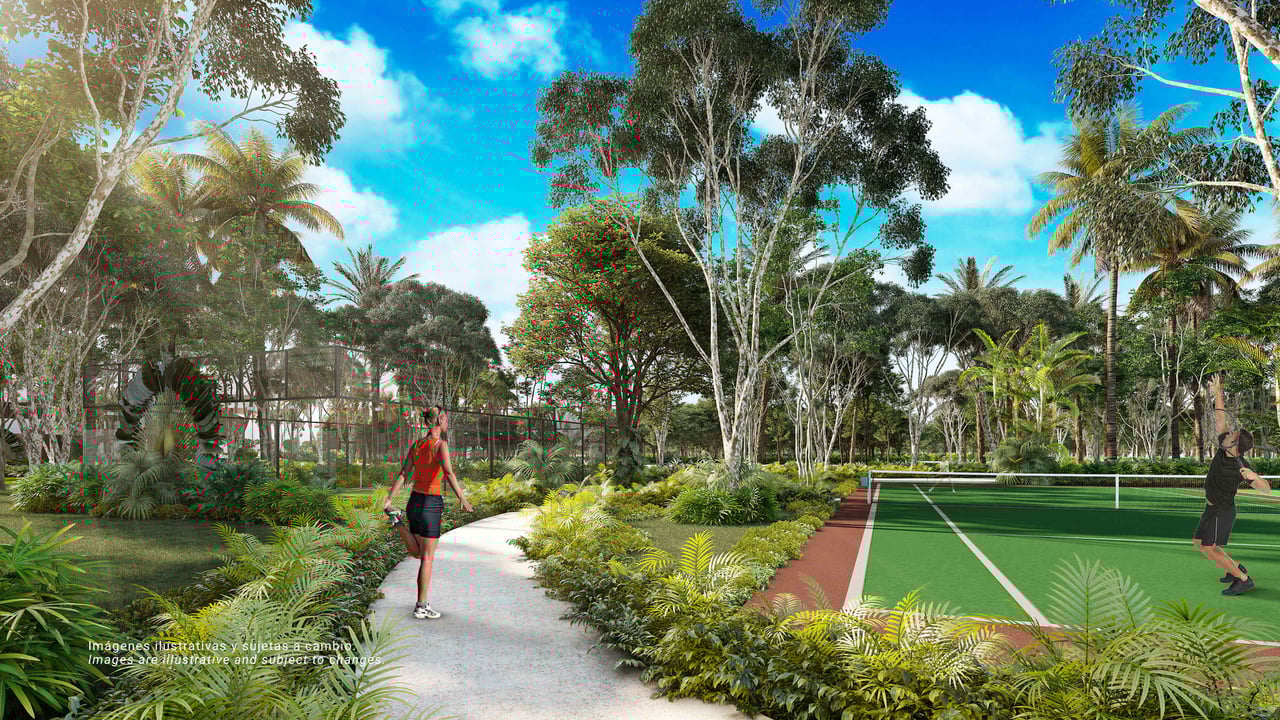 OceanFront Land For Sale