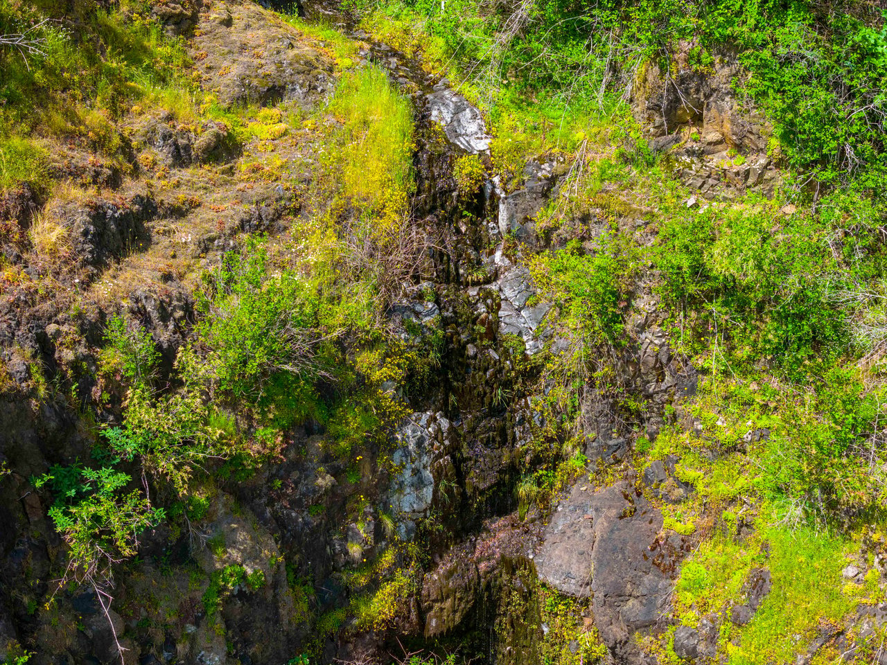 Cummins Creek Wilderness Overlook