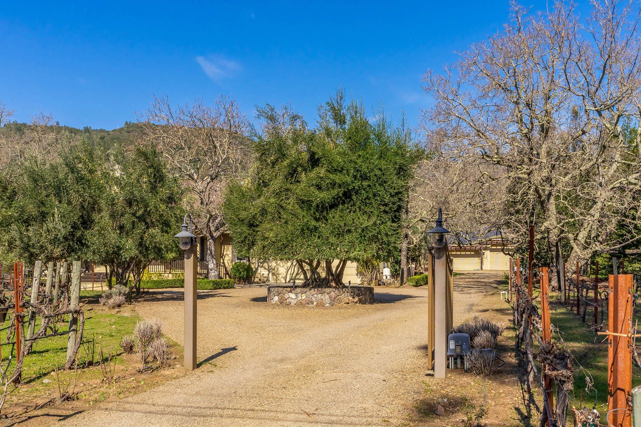 Vineyard Paradise - SOLD