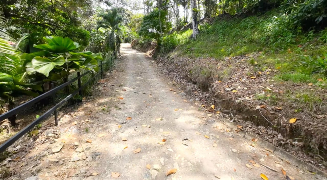Multi Home Income Estate, Uvita, Puntarenas