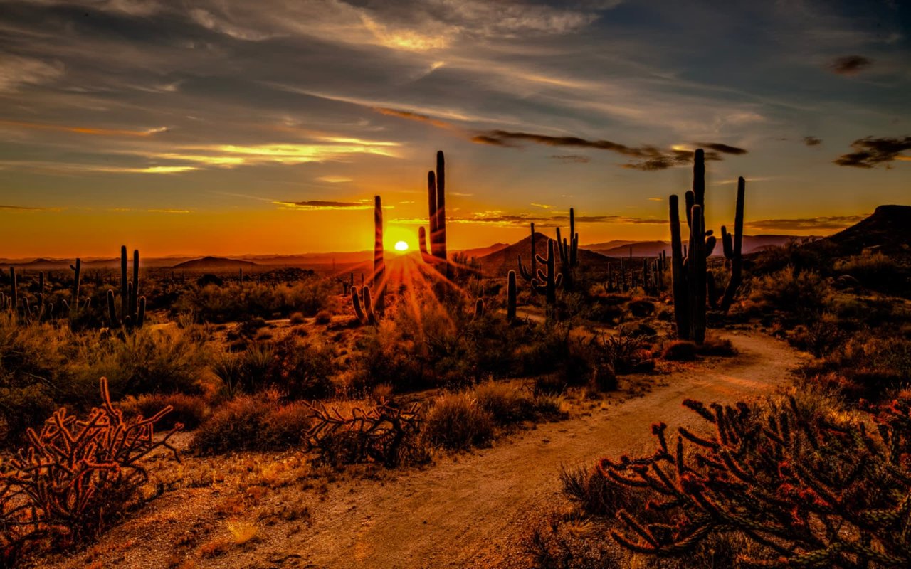 Hiking in Scottsdale