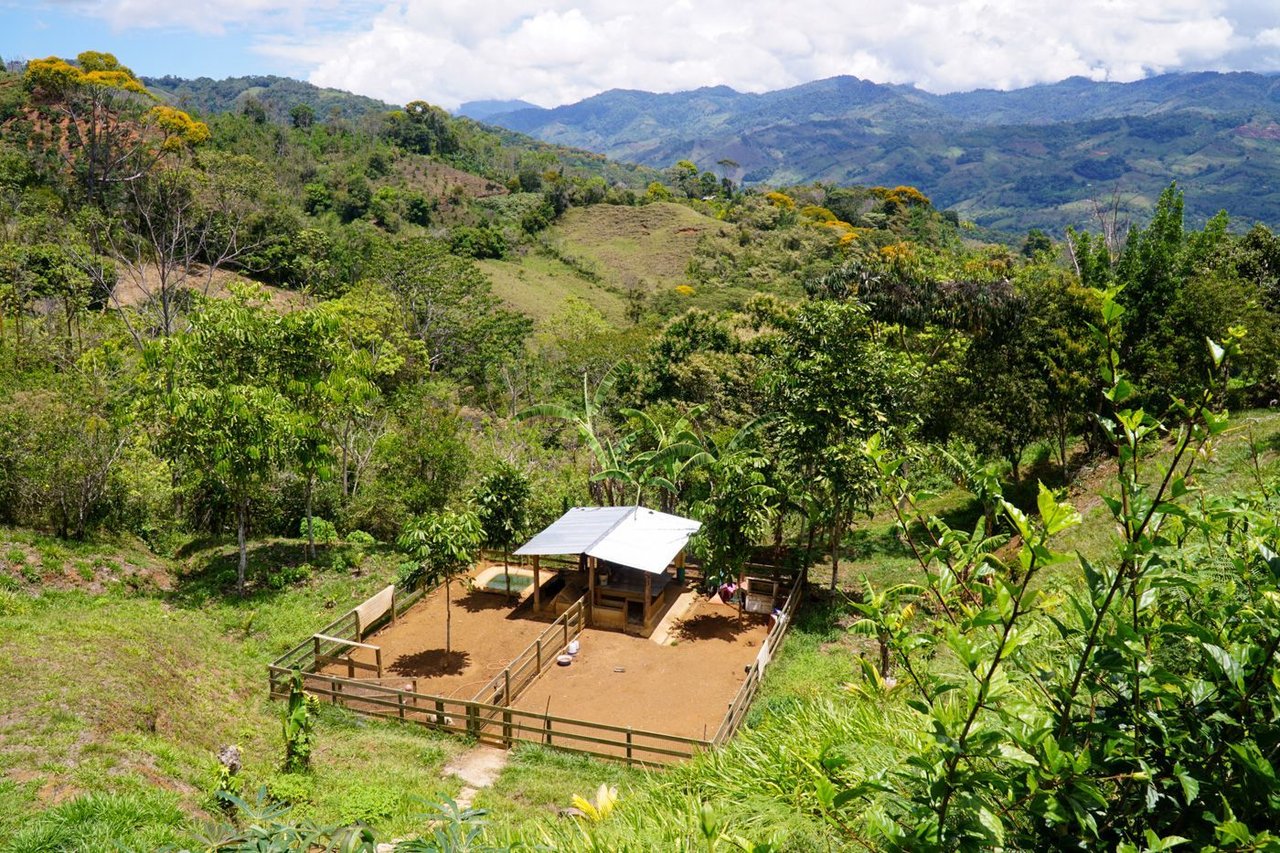 Mountain View Private Estate, Perez Zeledon, San Jose