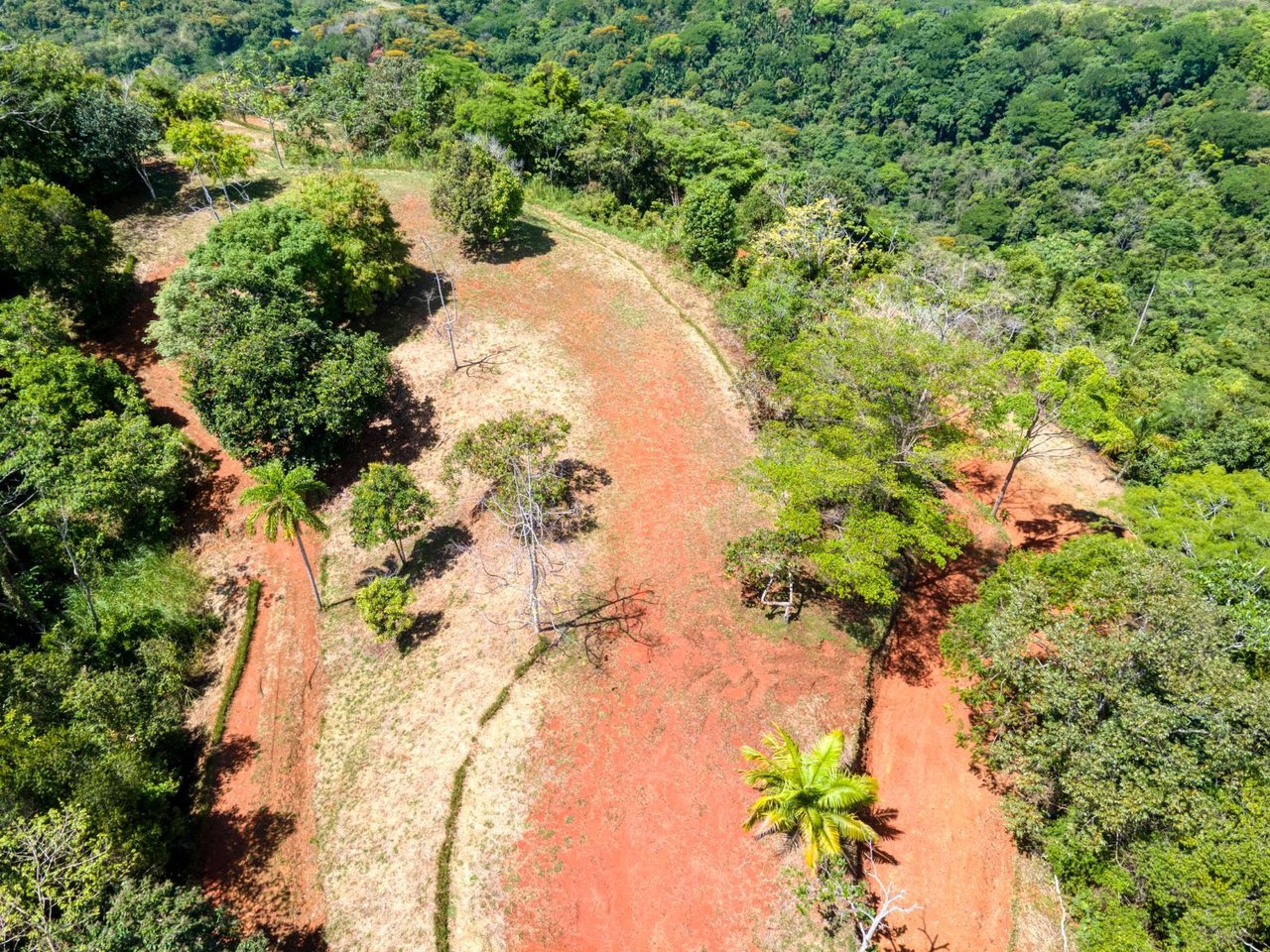 Waterfall Ocean View Land, Dominical, Puntarenas