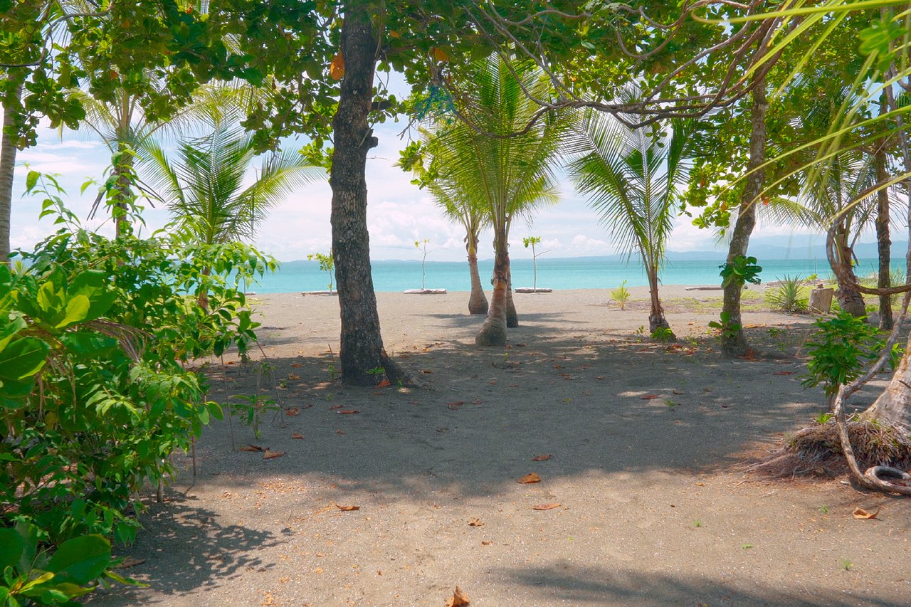 Off Grid Beachfront Bamboo Estate, Osa, Puntarenas