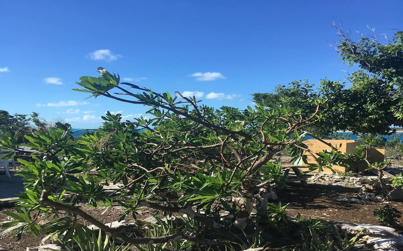 Ben's Cay Private Island