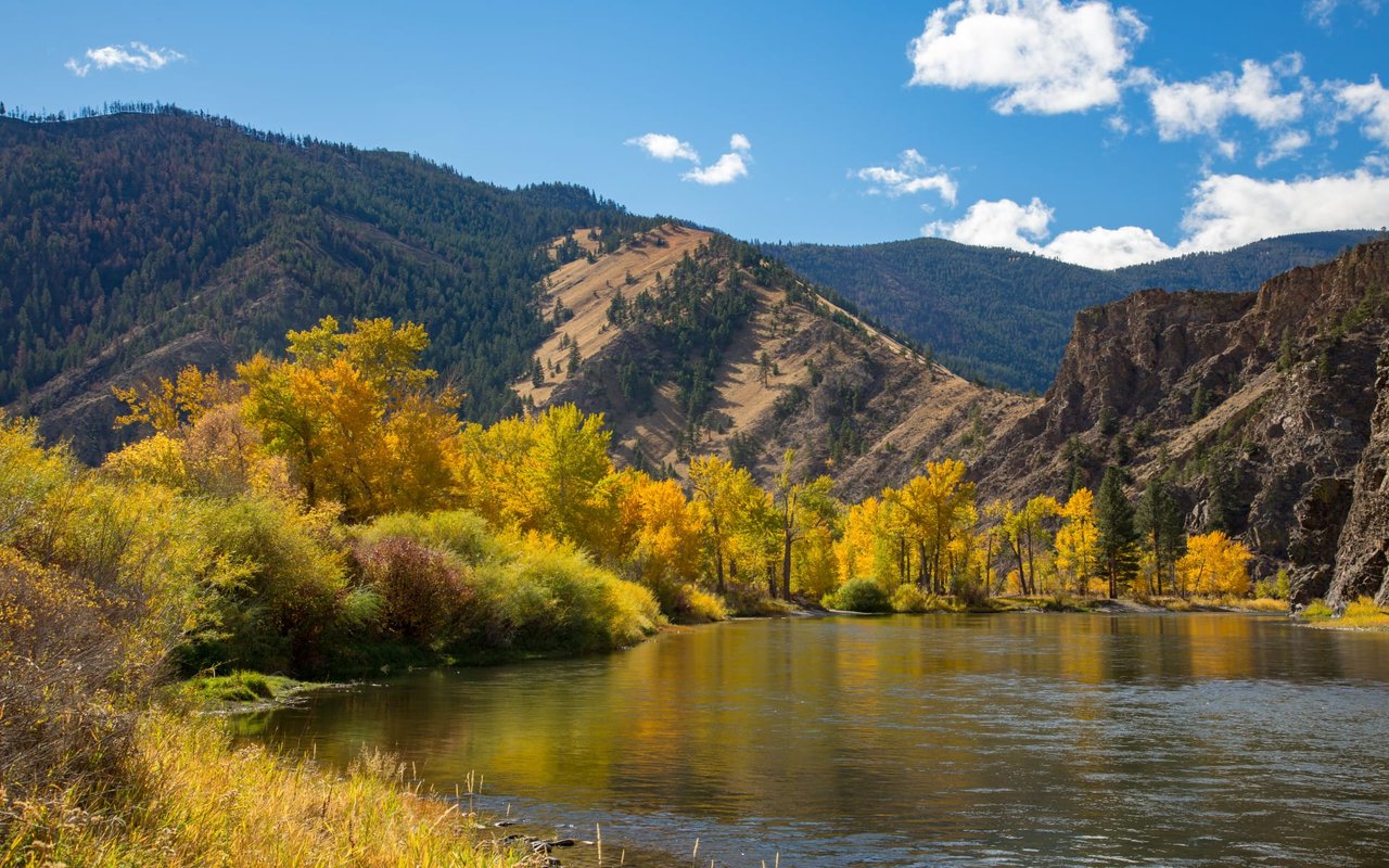  A serene river with calm, reflective water flows from left to right, bordered by vibrant autumn foliage displaying shades of yellow, gold, and green.