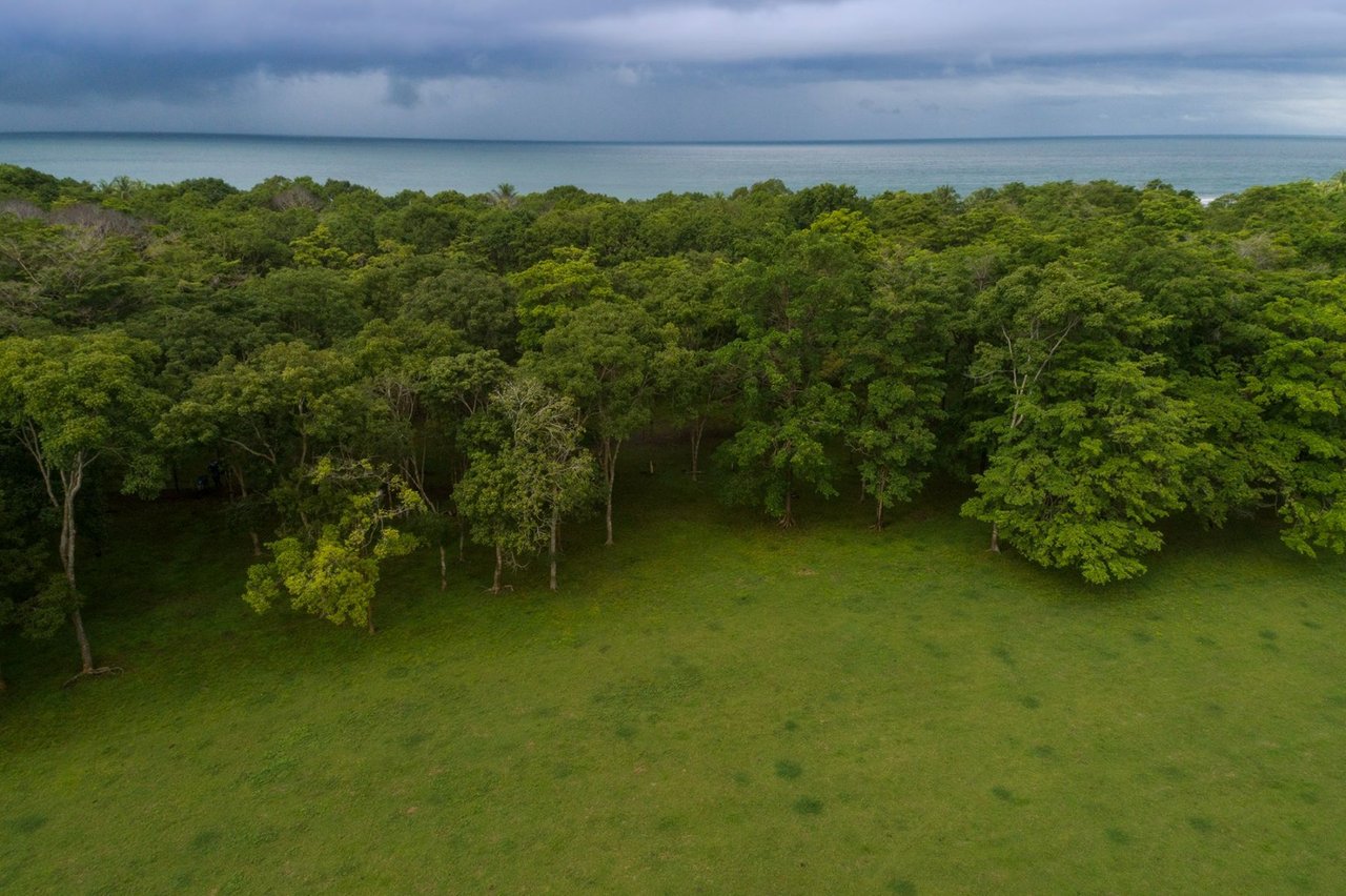 Beachfront Development Land, Dominical, Puntarenas