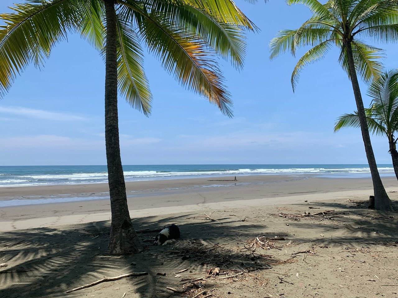 "Paradise Found: The Benefits of Living in Uvita, Costa Rica"