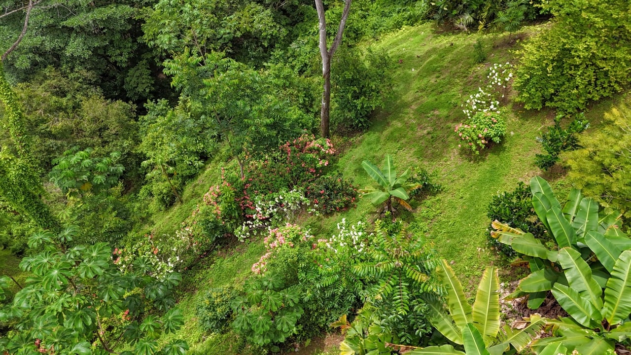 Waterfall Orchard Jungle Estate, Ojochal, Puntarenas