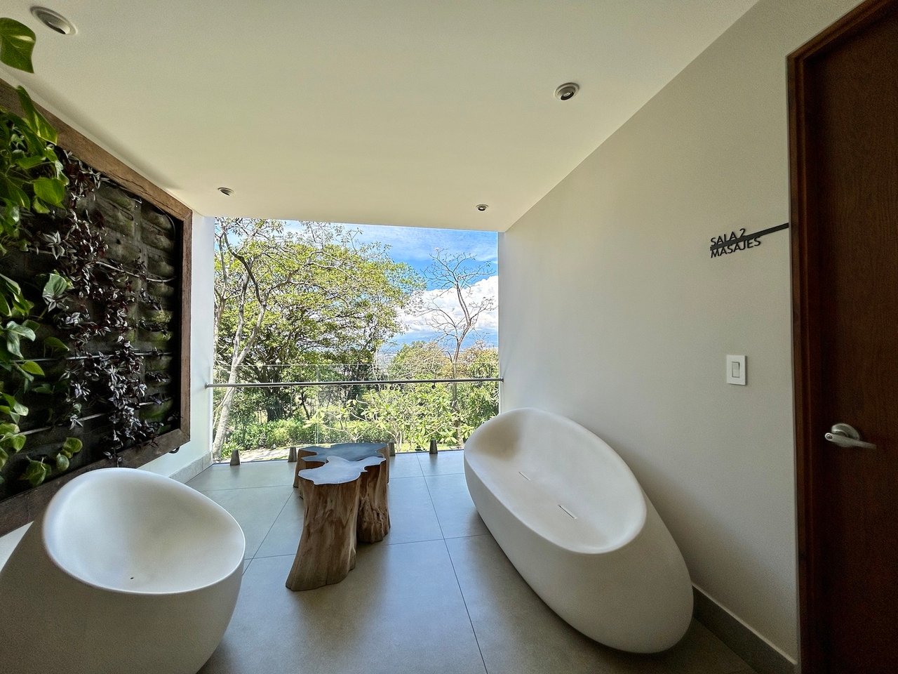 Upscale Mountain View Residence, Santa Ana, San Jose