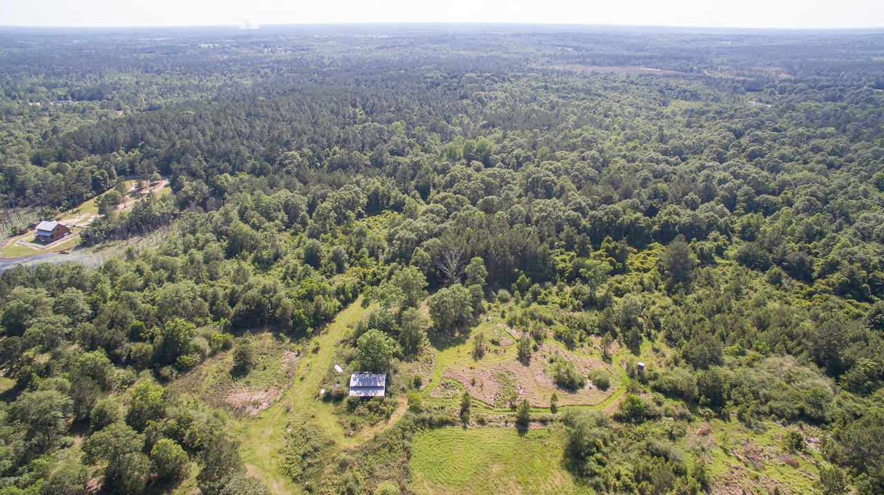 32331 Carey Smith Rd