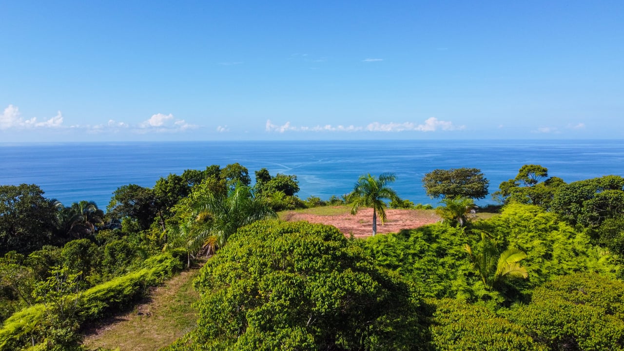 MANGO MANOR RIDGE PREMIER OCEAN VIEW PROPERTY IN DOMINICAL