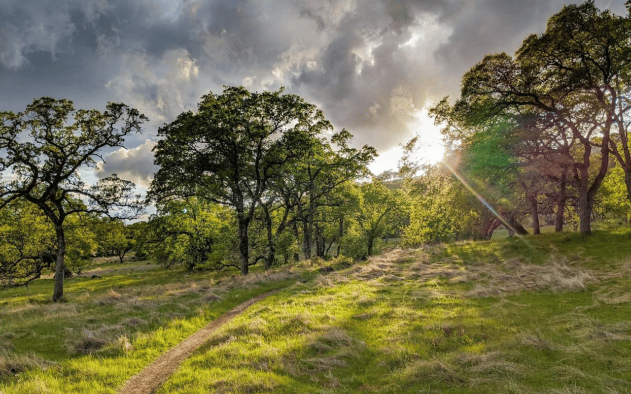 A Relocator’s Guide to Chico