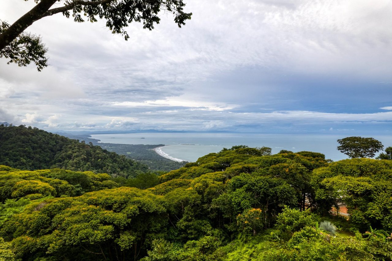 Architectural Whale Tail Villa, Dominical, Puntarenas