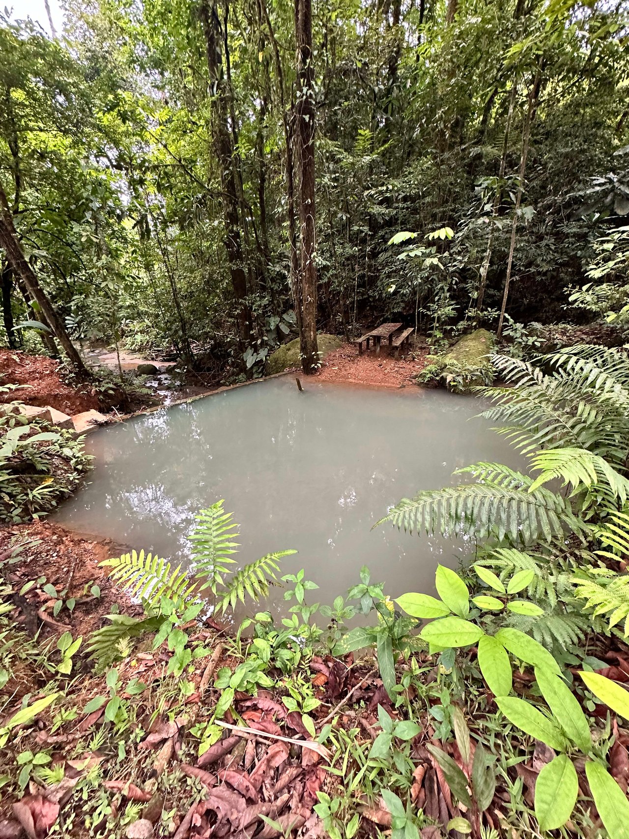 Discover the Charm of an Exotic Home in Las Tumbas, Costa Rica