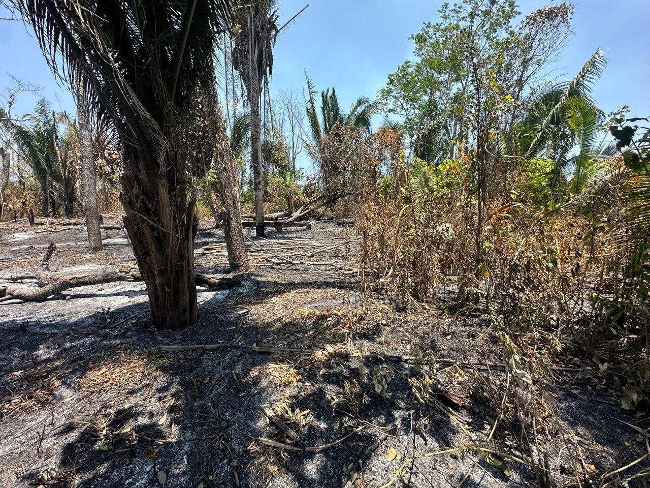 Large Residential  corner Lot in Camalote Village, Cayo District, Belize