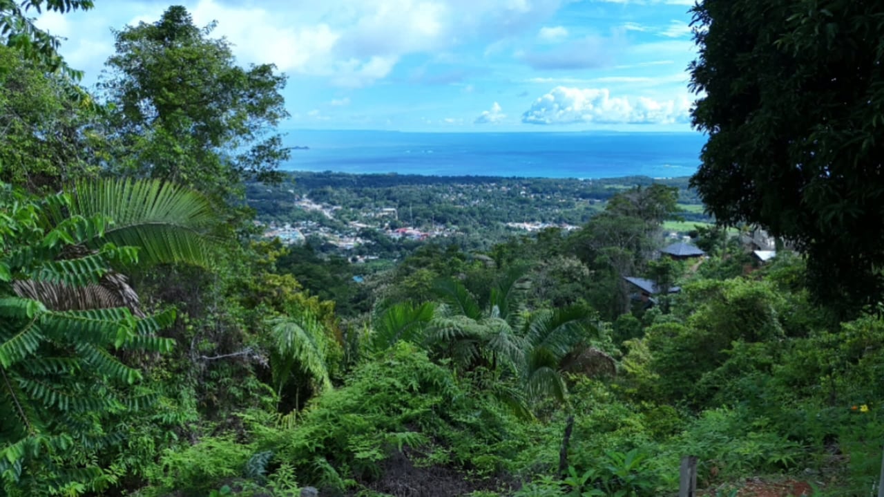 Uvita Hills! Mountain and Ocean view Opportunity