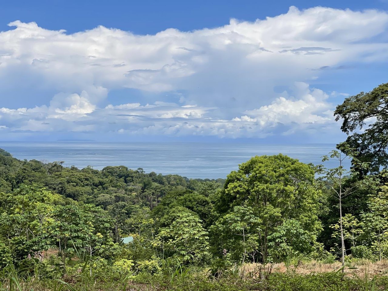 15.9 ACRES – Ocean View Development Property With Legal Water, Public Road, 5 Min From Highway!